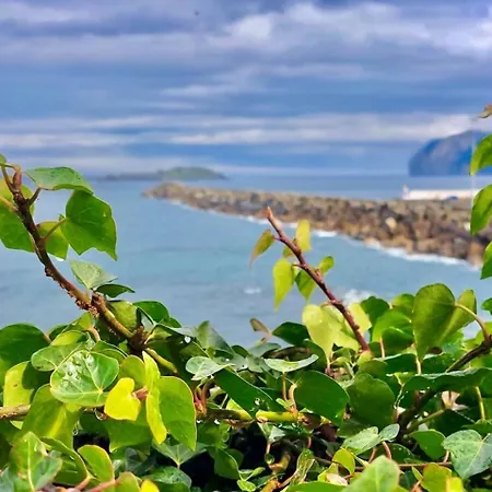 Okai Etxea Bermeo, En El Centro De La * Bermeo